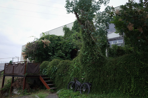 R0161844.jpg