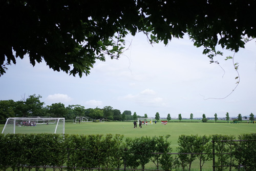 R0161951.jpg