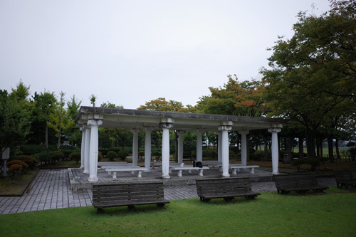 R0163124.jpg