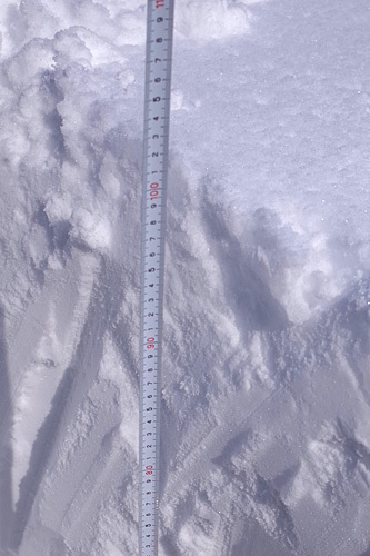 R0166957s.jpg