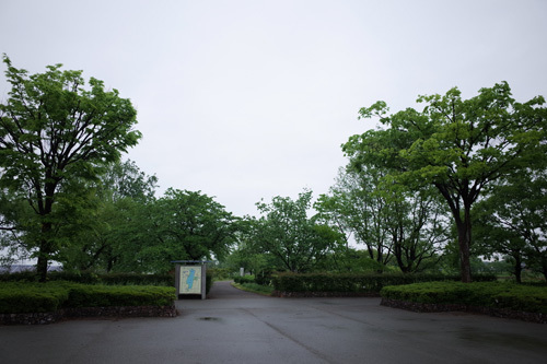 R0169173.jpg