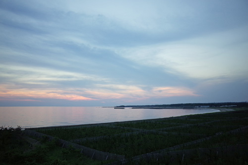 R0169869.jpg