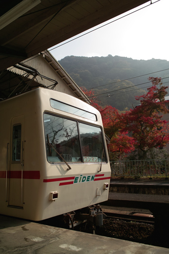 SDIM0703s.jpg