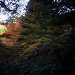 img650s.jpg