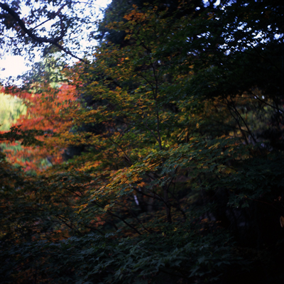 img650ss.jpg