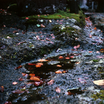 img653s.jpg