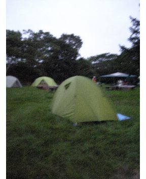 P1LDVC00250_I.jpg
