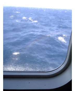 WO9DVC00268_I.jpg